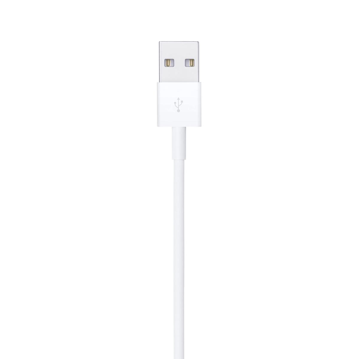 Apple Lightning to USB Cable, 1m