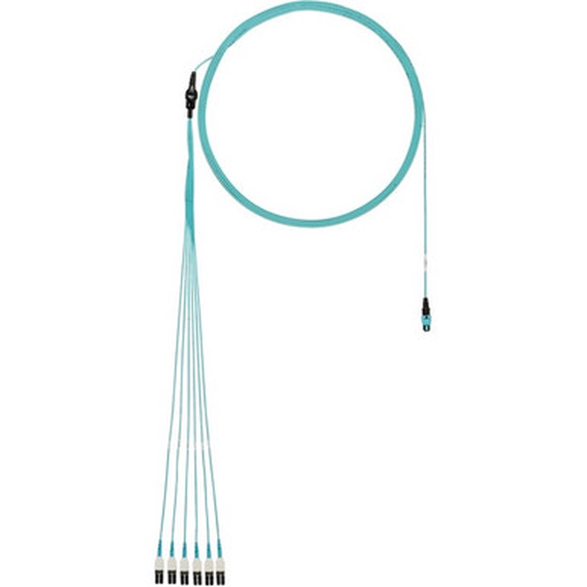 Panduit Fiber Optic Network Cable - FX8RL7NUSQNM026