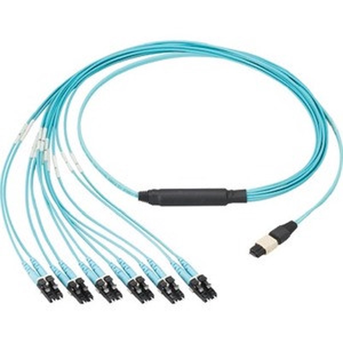 Panduit Fiber Optic Duplex Network Cable - FXTHP5NLSSNF062