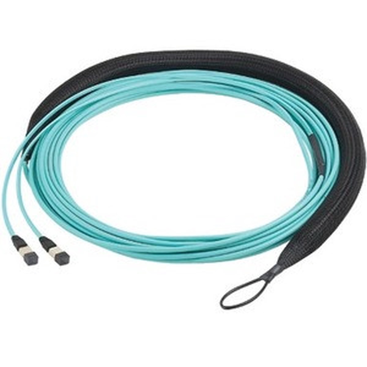 Panduit Fiber Optic Network Cable - FXWSP5E5EAAF102