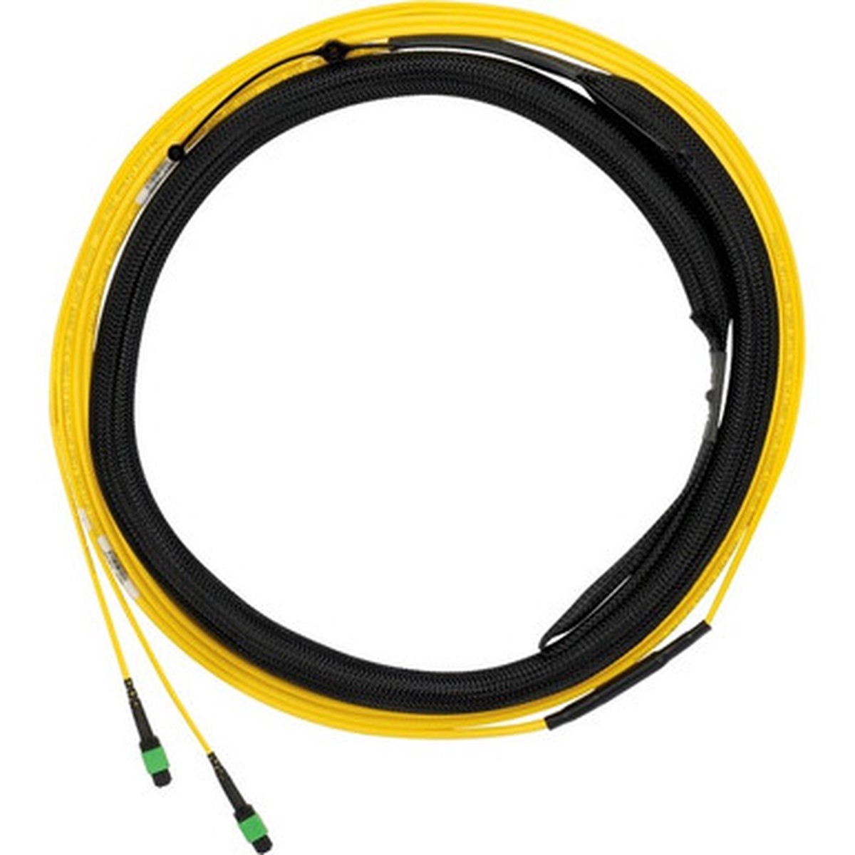 Panduit Fiber Optic Network Cable - F9TYP5E5EAAF045