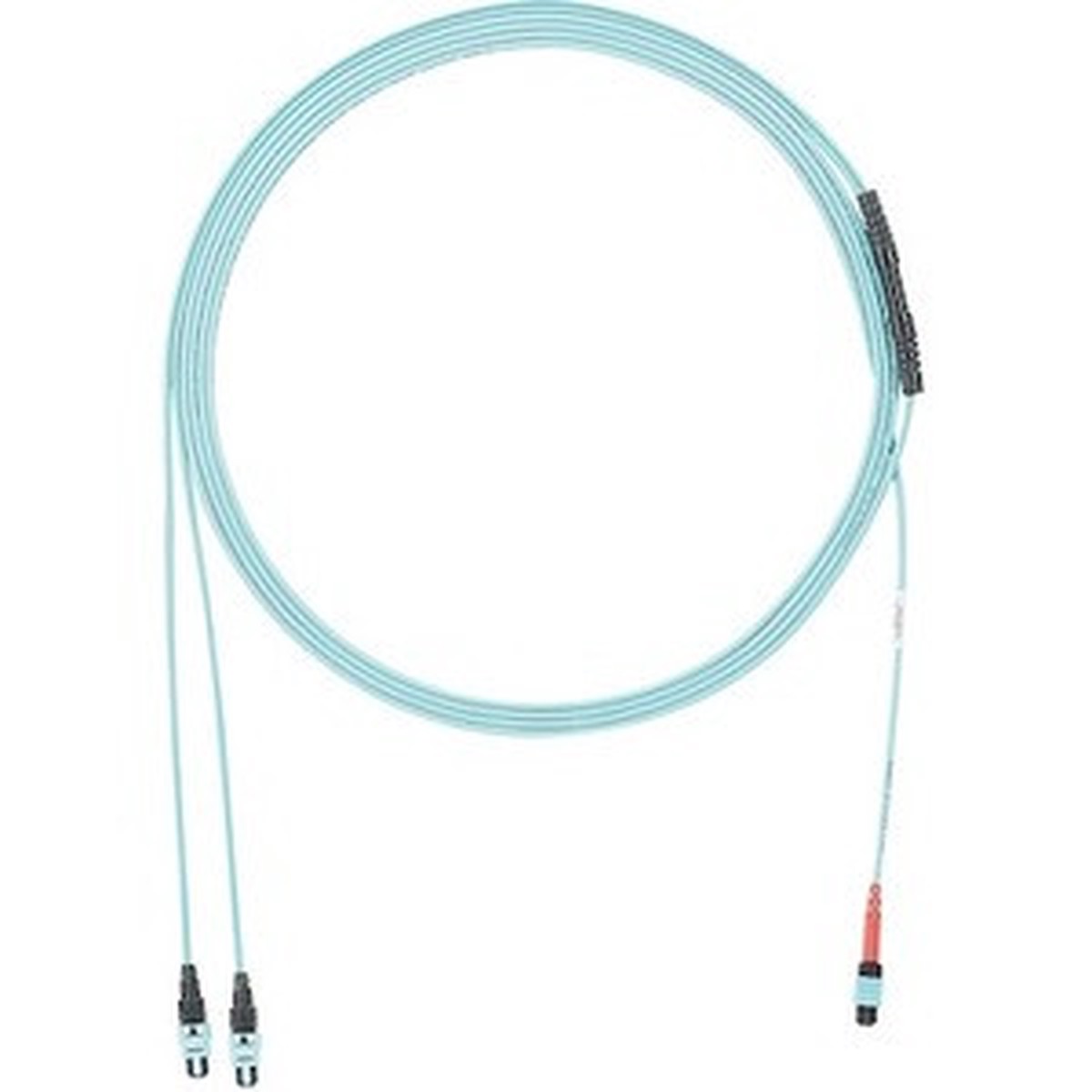Panduit Fiber Optic Network Cable - FXURPEN74YNF080