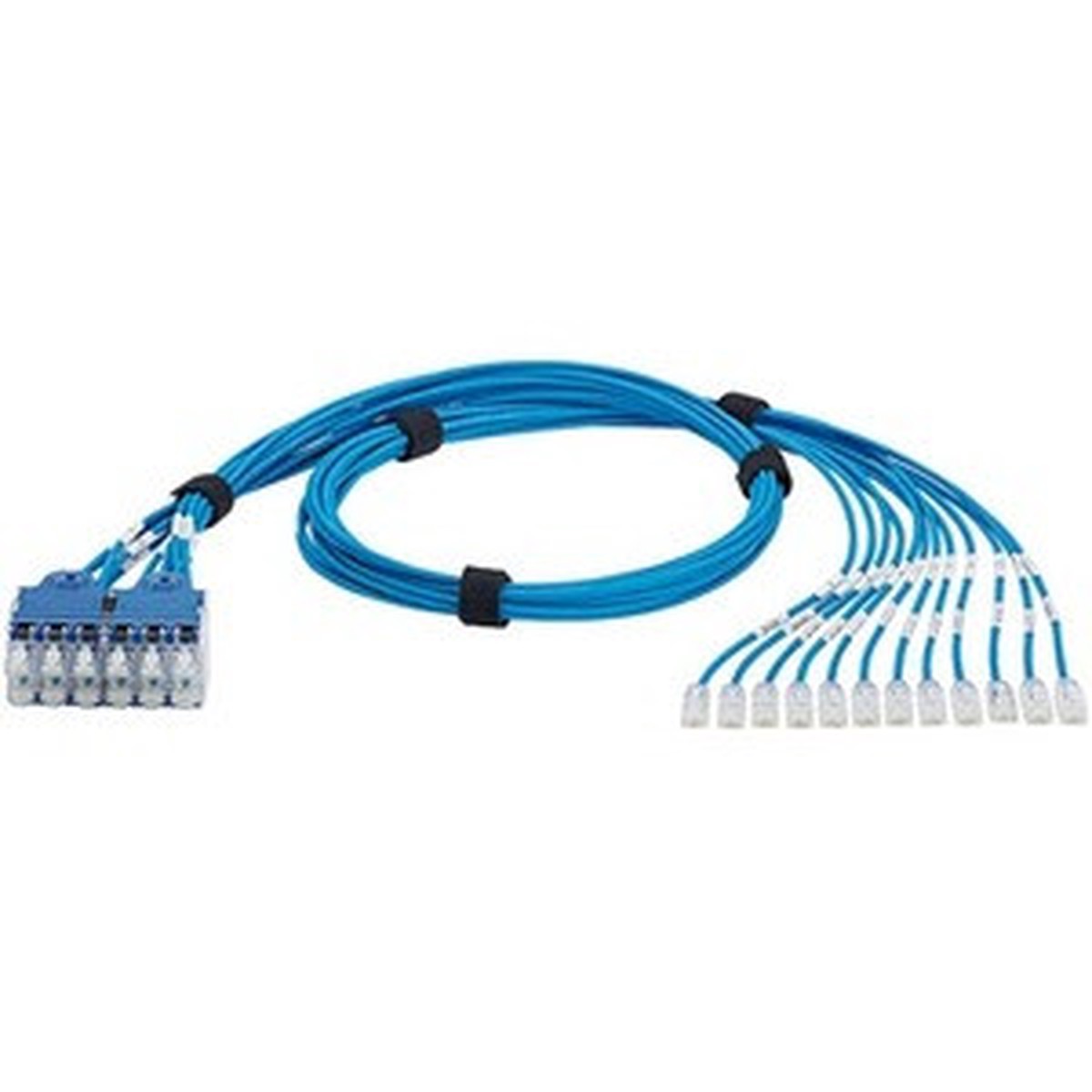 Panduit QuickNet Cat.6 U/UTP Network Cable - QPPCCBBW10
