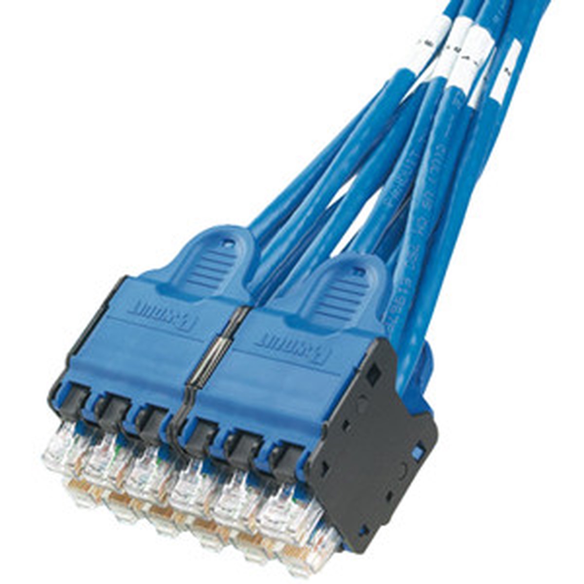 PANDUIT Cat.6 UTP Cable - QPPCCBBB07