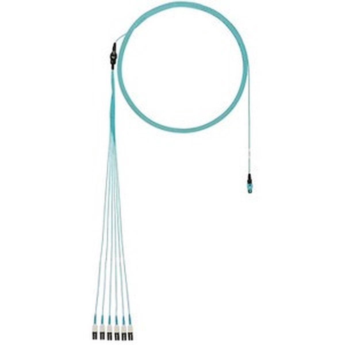 Panduit Fiber Optic Network Cable - FX8RP7NUSQNF059