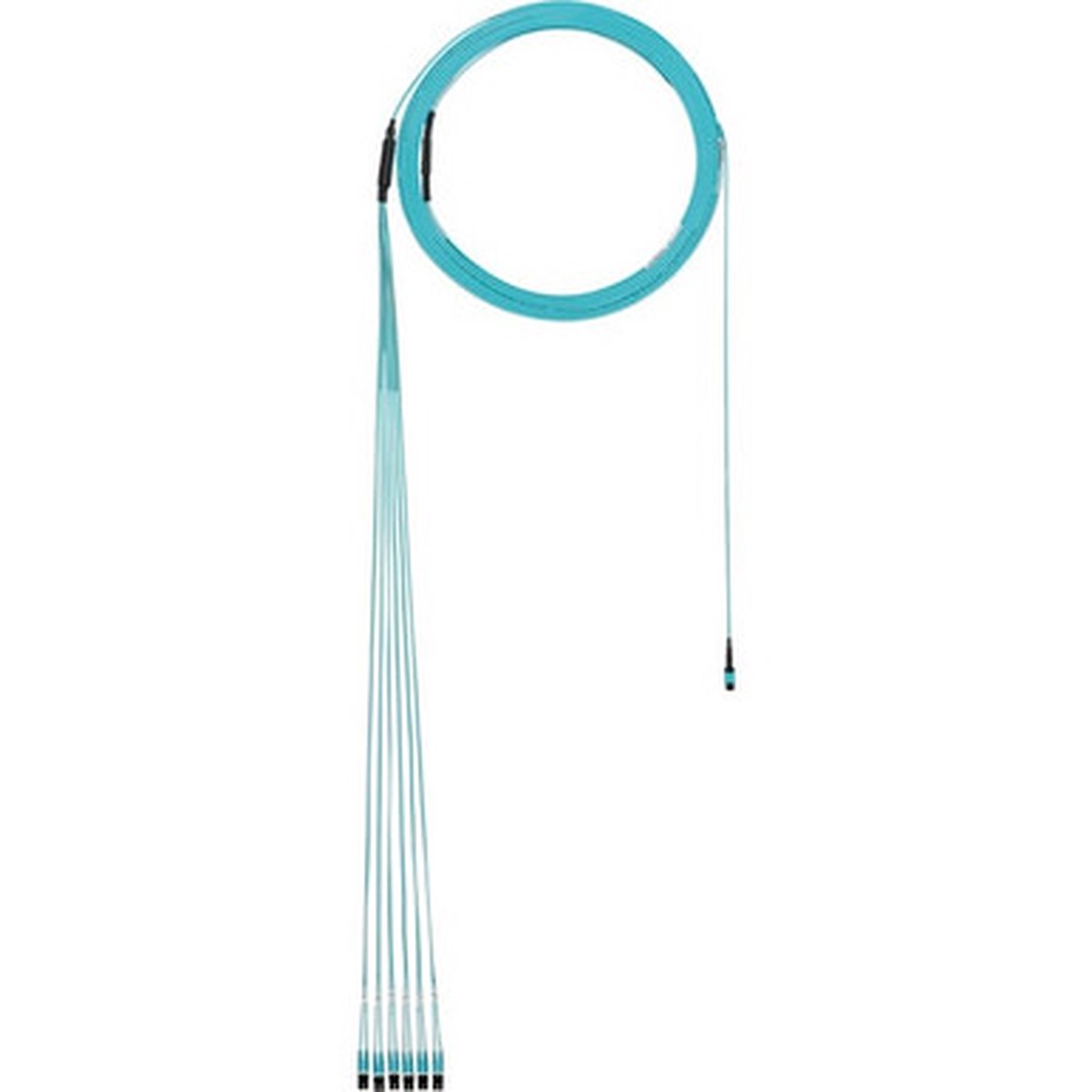 Panduit QuickNet Fiber Optic Trunk Network Cable - FZTYL5E5EAAM014