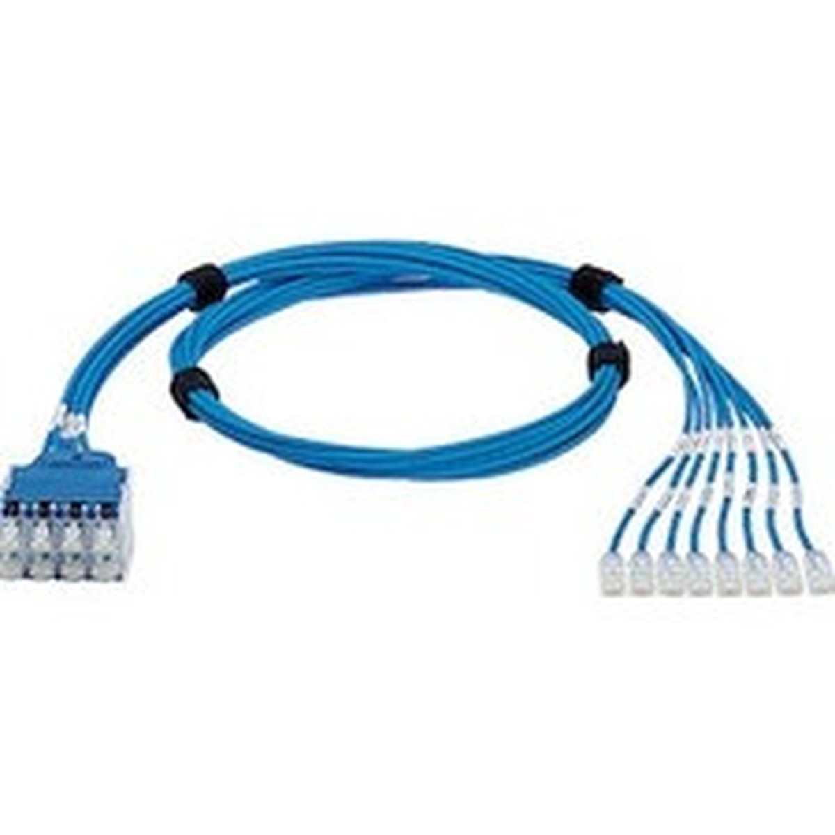 Panduit QuickNet Cat.6 U/UTP Network Cable - QPPCCBDB10