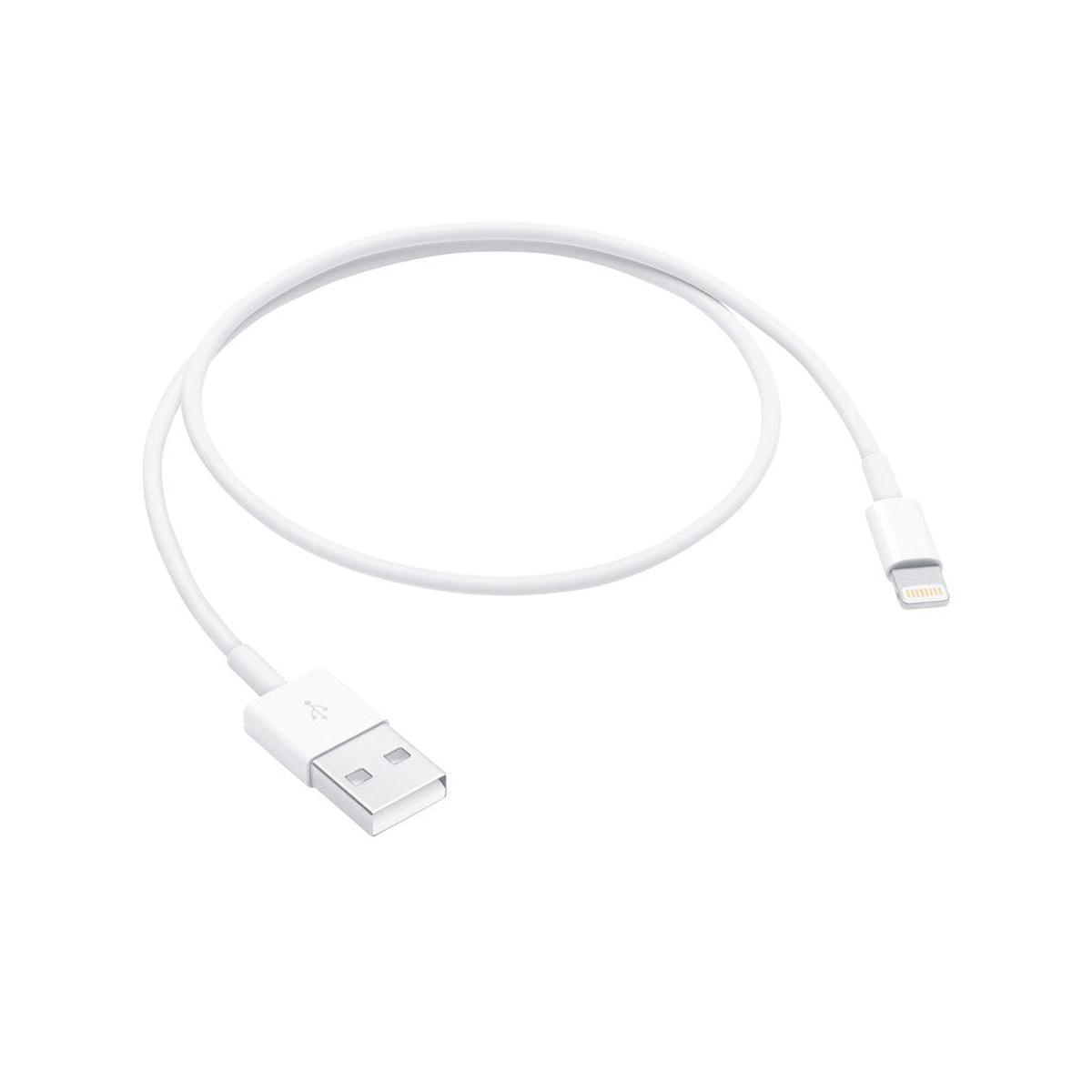 Apple Lightning To USB Cable 1 Meter